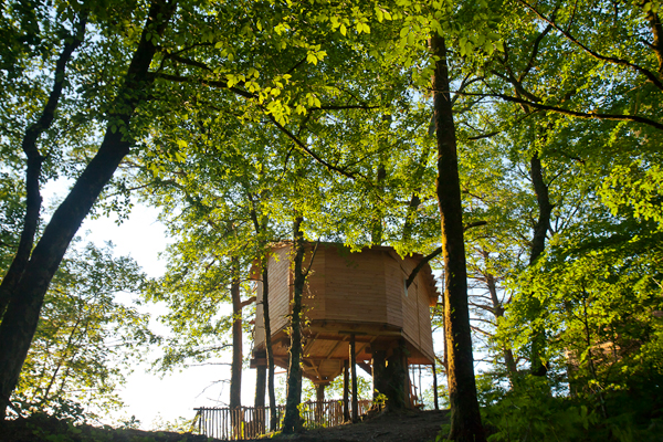Hêtre sous le Charme Limousin - Saint-Martial-Entraygues visuel 4/10