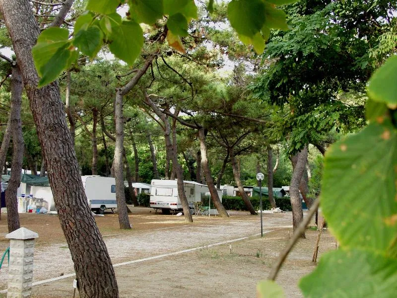 Camping Il Capannino Toscane - Marina di Bibbona visuel 6/7