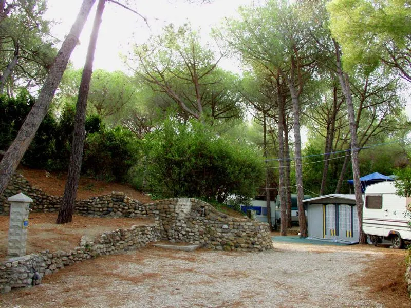 Camping Il Capannino Toscane - Marina di Bibbona visuel 7/7