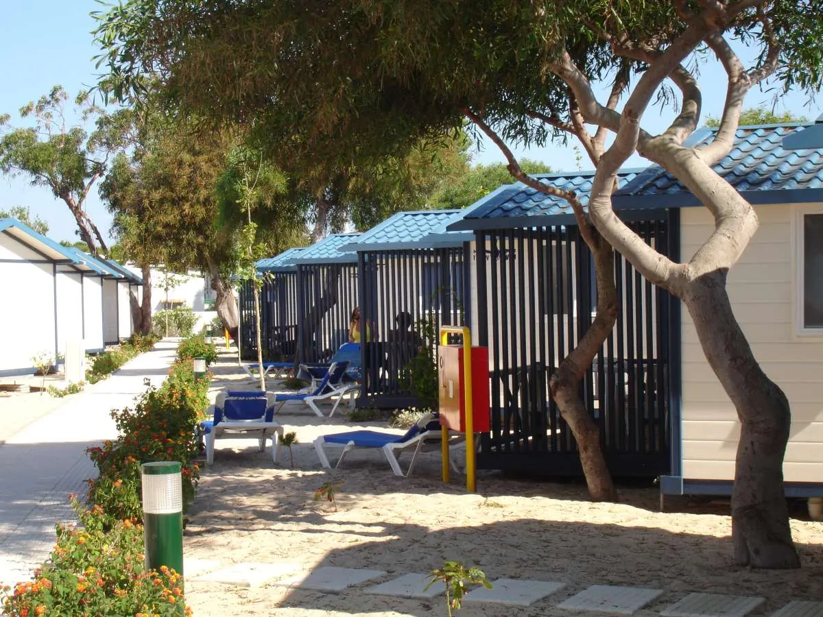 Camping Ilha de Armona Algarve - Olhão visuel 5/6