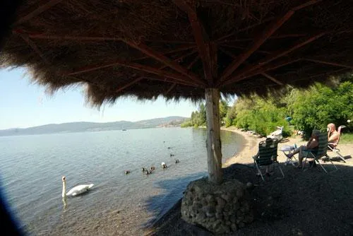 Camping Internazionale di Bracciano Latium - Trevignano Romano visuel 11/11