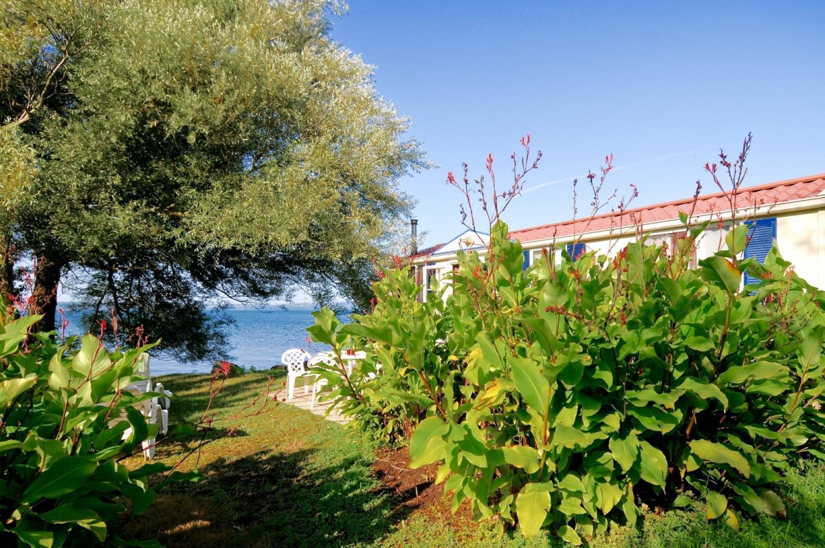 Internazionale di Bracciano Latium - Trevignano Romano visuel 11/11