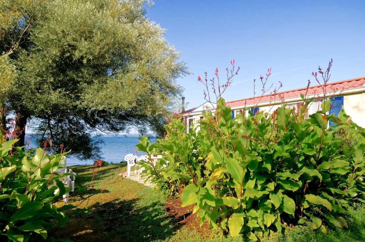 Camping Internazionale di Bracciano Latium - Trevignano Romano visuel 10/11