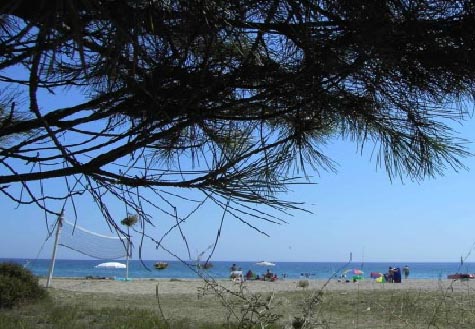 Kalypso Corse - Santa-Maria-Poggio visuel 1/1 Kalypso Corse - Santa-Maria-Poggio visuel 1/1