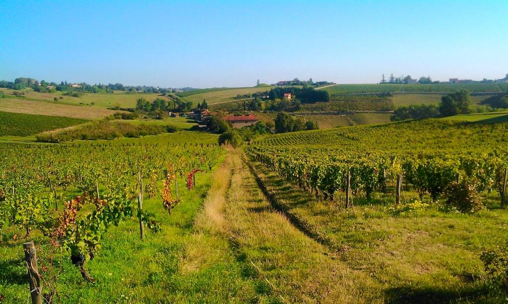 Kanôpée Village Rhône-Alpes - Trévoux visuel 10/15