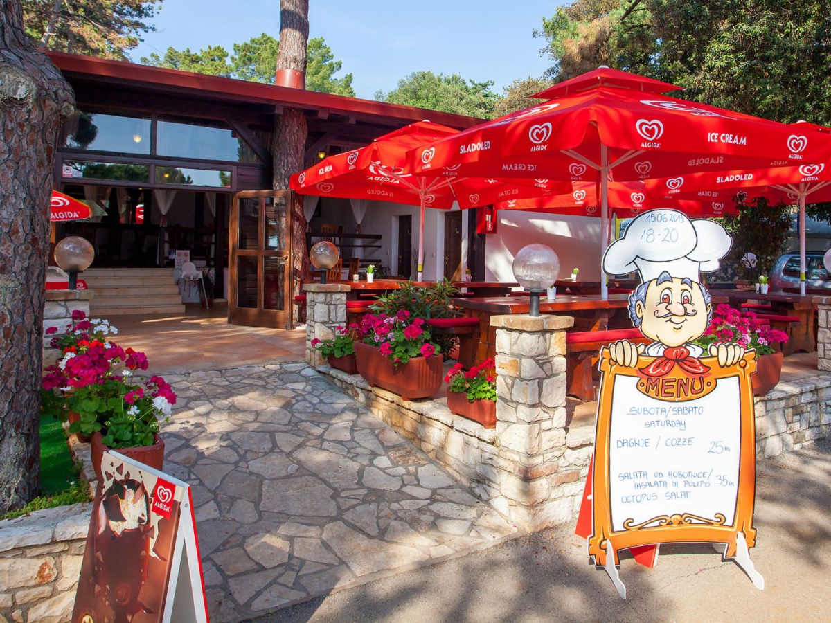 Kastanija Istrie - Novigrad visuel 4/10