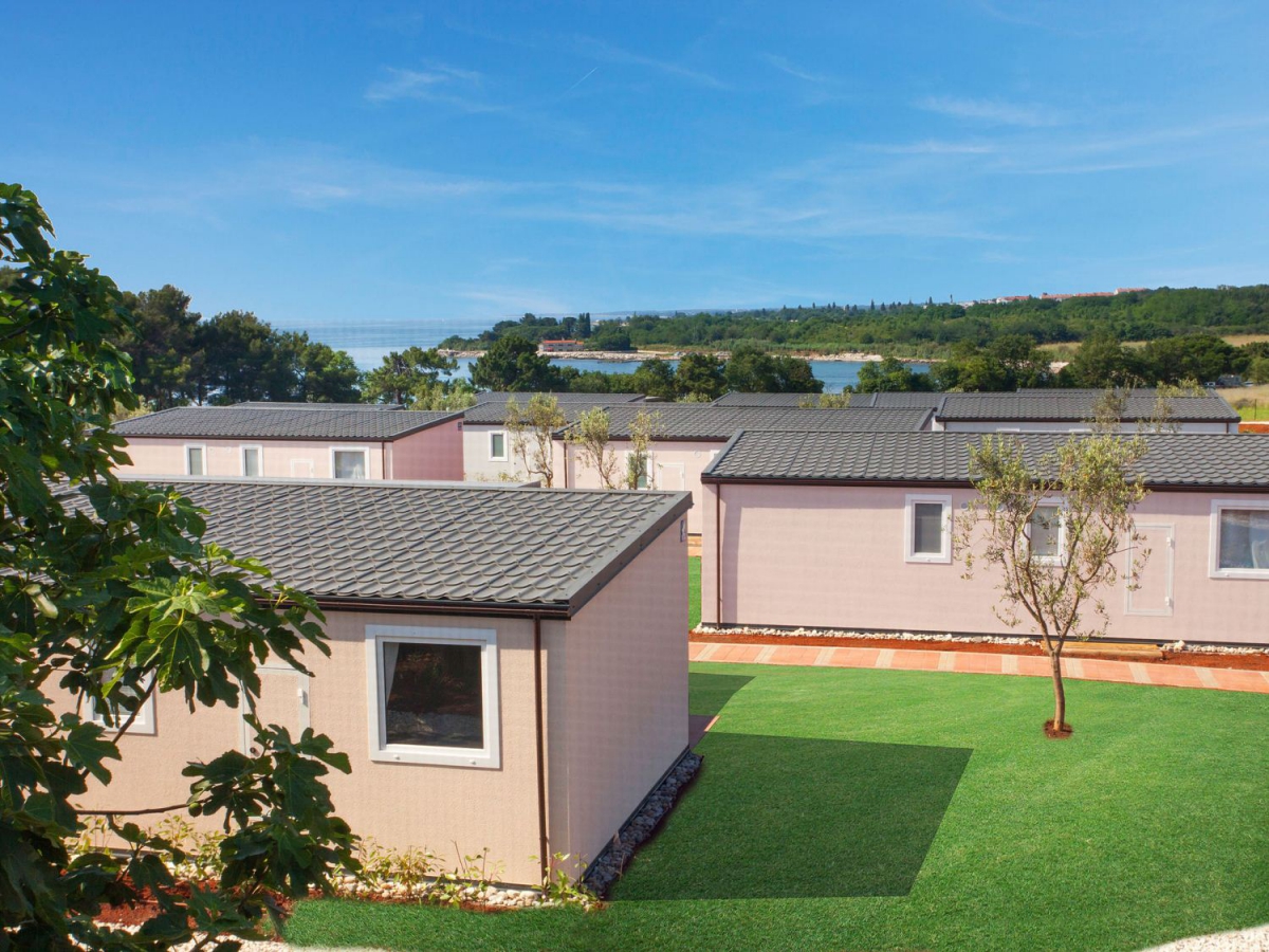 Kastanija Istrie - Novigrad visuel 7/10