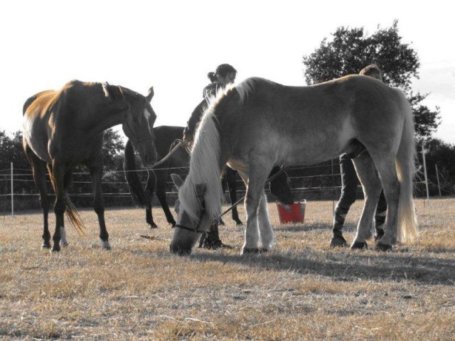 Kernéjeune Bretagne - Arzal visuel 10/11