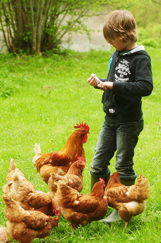 Kimaro Farmhouse Bourgogne - Colméry visuel 9/9