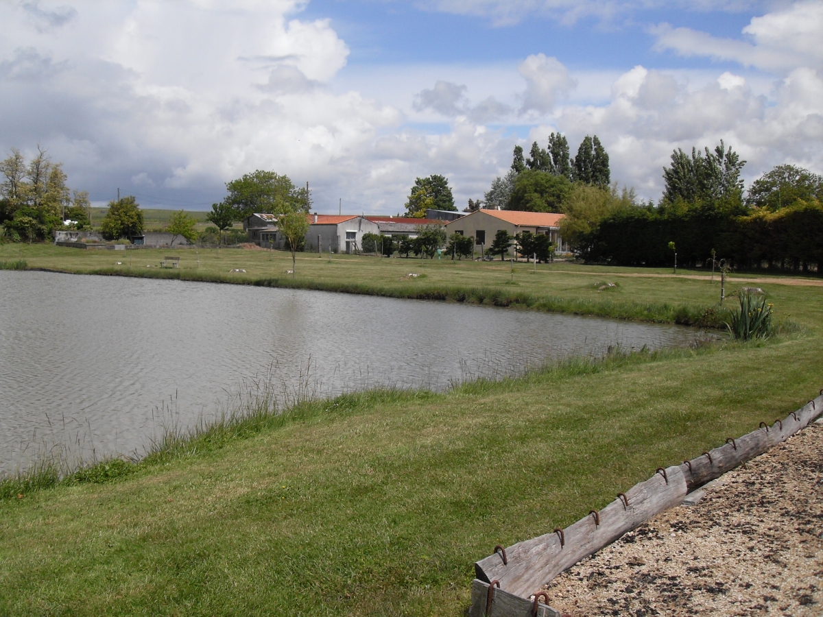 La Baie de Chandorat Poitou-Charentes - Barzan visuel 1/1