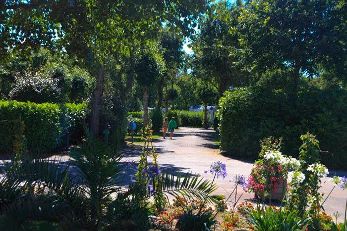 Camping La Baie de Douarnenez Bretagne - Poullan-sur-Mer visuel 8/10