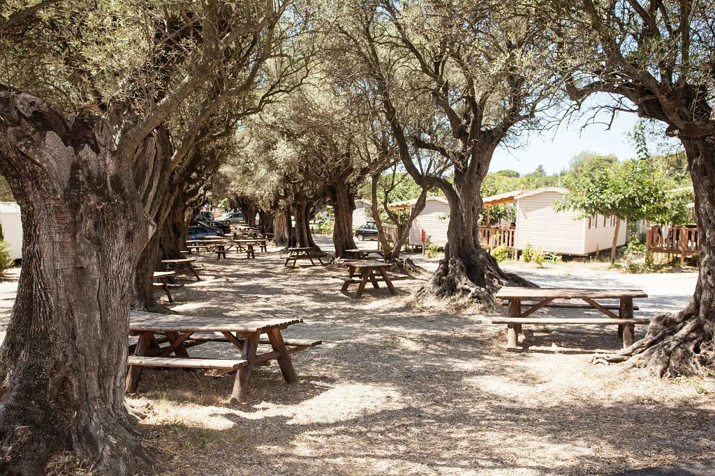 Camping La Baie des Anges Provence-Alpes-Côte d'Azur - La Ciotat visuel 11/15
