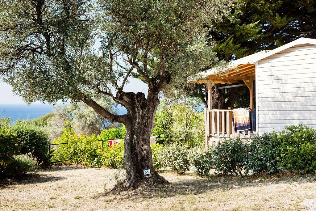 Camping La Baie des Anges Provence-Alpes-Côte d'Azur - La Ciotat visuel 9/15
