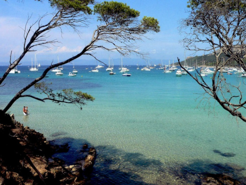 La Bergerie Plage Provence-Alpes-Côte d'Azur - Hyères visuel 1/7