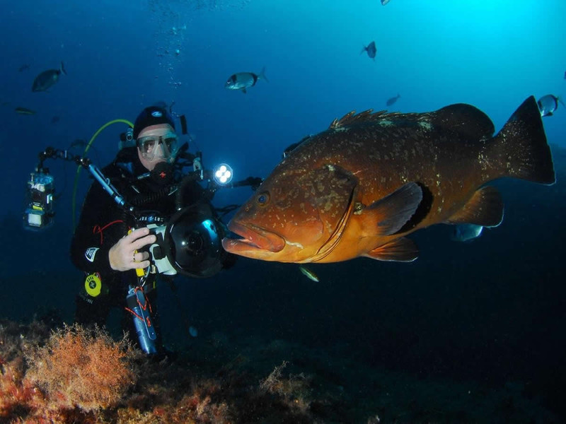 La Bergerie Plage Provence-Alpes-Côte d'Azur - Hyères visuel 7/7