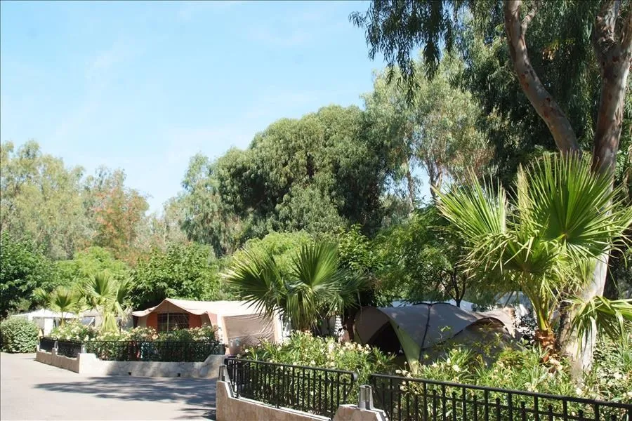 Camping La Brûlade Provence-Alpes-Côte d'Azur - La Londe-les-Maures visuel 6/6