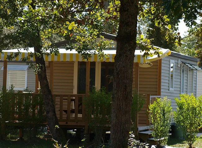 Camping La Cailletière Poitou-Charentes - Dolus d'Oléron visuel 10/10