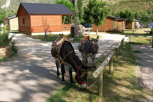 Camping La Cascade Languedoc-Roussillon - Meyrueis visuel 5/7