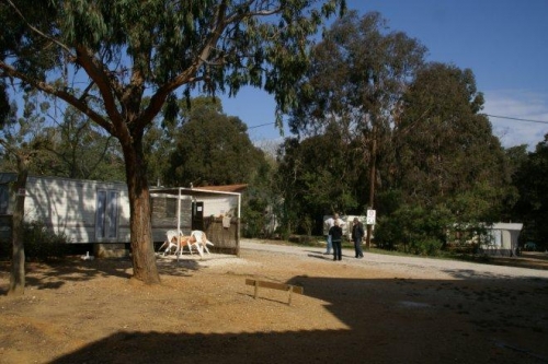 La Celinette Provence-Alpes-Côte d'Azur - Bormes-les-Mimosas visuel 1/1