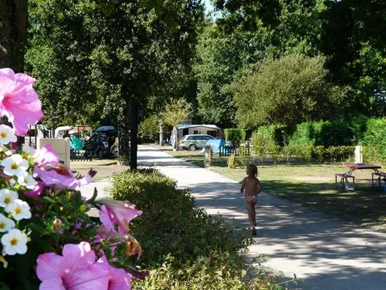 Camping La Cigale Aquitaine - Arès visuel 4/10