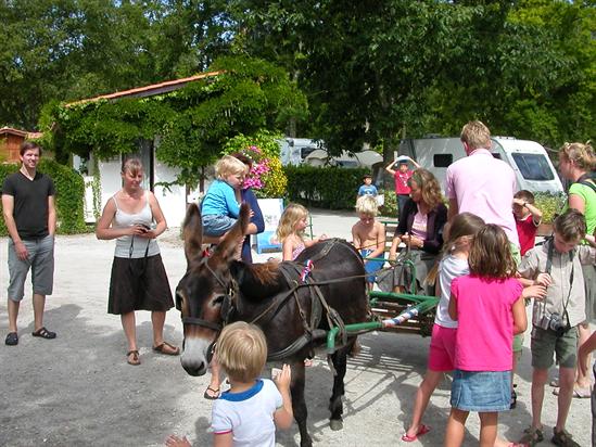 La Cigale Aquitaine - Arès visuel 8/10