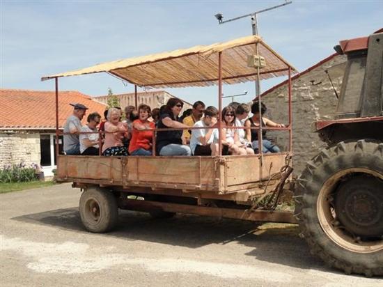 La Clé des Champs Pays de Loire - Luçon visuel 3/8