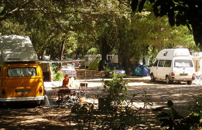 Camping La Clère Pays de Loire - Noirmoutier-en-l'Île visuel 3/3