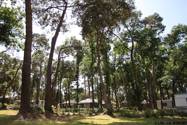 La Courance Países del Loira - Saint-Brévin-les-Pins visuel 32/47