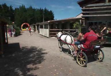 La Dive Pays de Loire - Saint-Michel-en-l'Herm visuel 6/10