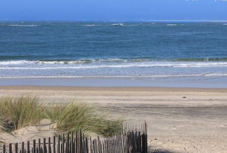 La Dune Aquitaine - Pyla sur Mer visuel 10/11
