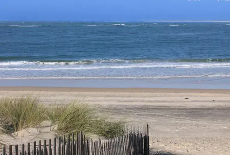 Camping La Dune Aquitaine - Pyla sur Mer visuel 9/11