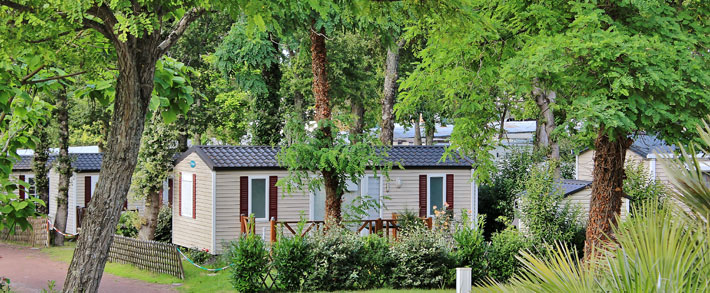 La Ferme Poitou-Charentes - Saint-Augustin visuel 15/27
