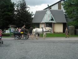 La Ferme de Bouzencourt Picardie - Le Hamel visuel 2/2