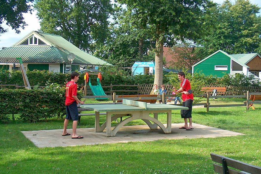 La Forêt Haute-Normandie - Jumièges visuel 6/10 La Forêt Haute-Normandie - Jumièges visuel 6/10