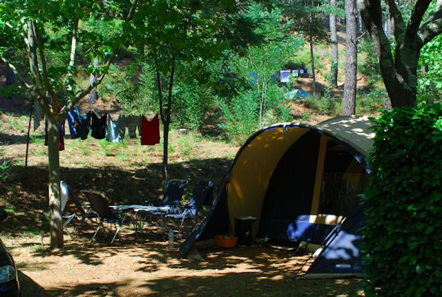 La Forêt Languedoc-Roussillon - Saint-Jean-du-Gard visuel 6/6 La Forêt Languedoc-Roussillon - Saint-Jean-du-Gard visuel 6/6