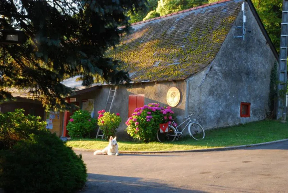 Camping La Forêt Midi-Pyrénées - Lourdes visuel 11/15