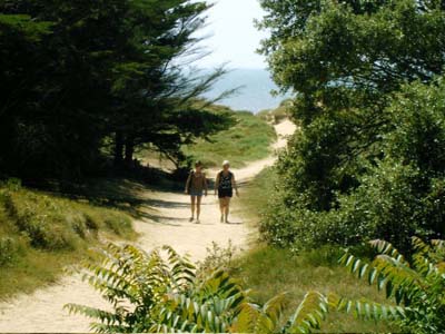 La Forêt Pays de Loire - Saint-Jean-de-Monts visuel 5/11