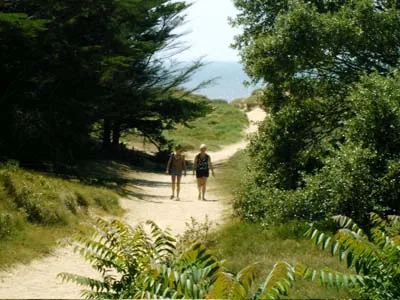 Camping La Forêt Pays de Loire - Saint-Jean-de-Monts visuel 5/11