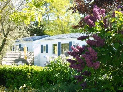 Camping La Forêt Pays de Loire - Saint-Jean-de-Monts visuel 11/11