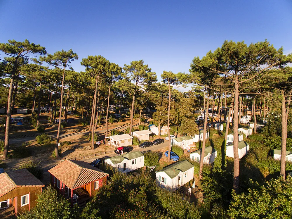 Camping La Forêt du Pilat Aquitaine - Pyla sur Mer visuel 19/25