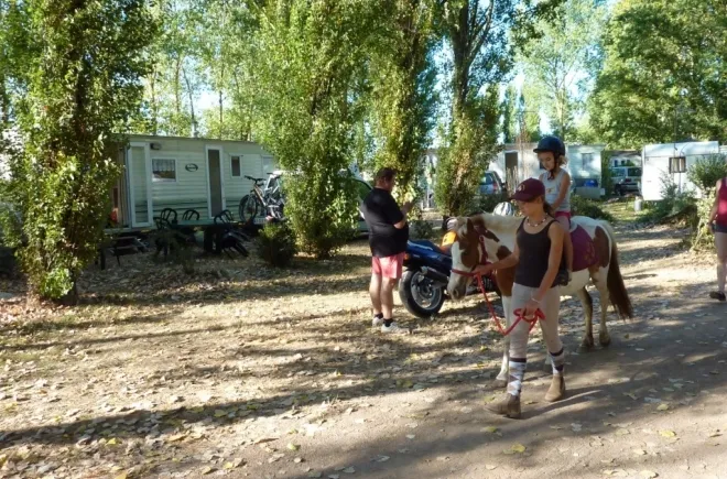 Camping La Fraignaye Pays de Loire - Saint-Denis-du-Payré visuel 9/10