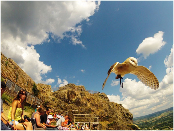 La Fressange Auvergne - Saint-Didier-en-Velay visuel 10/12
