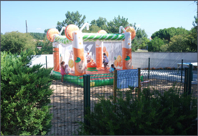 la Frétille Pays de Loire - Longeville sur Mer visuel 4/11