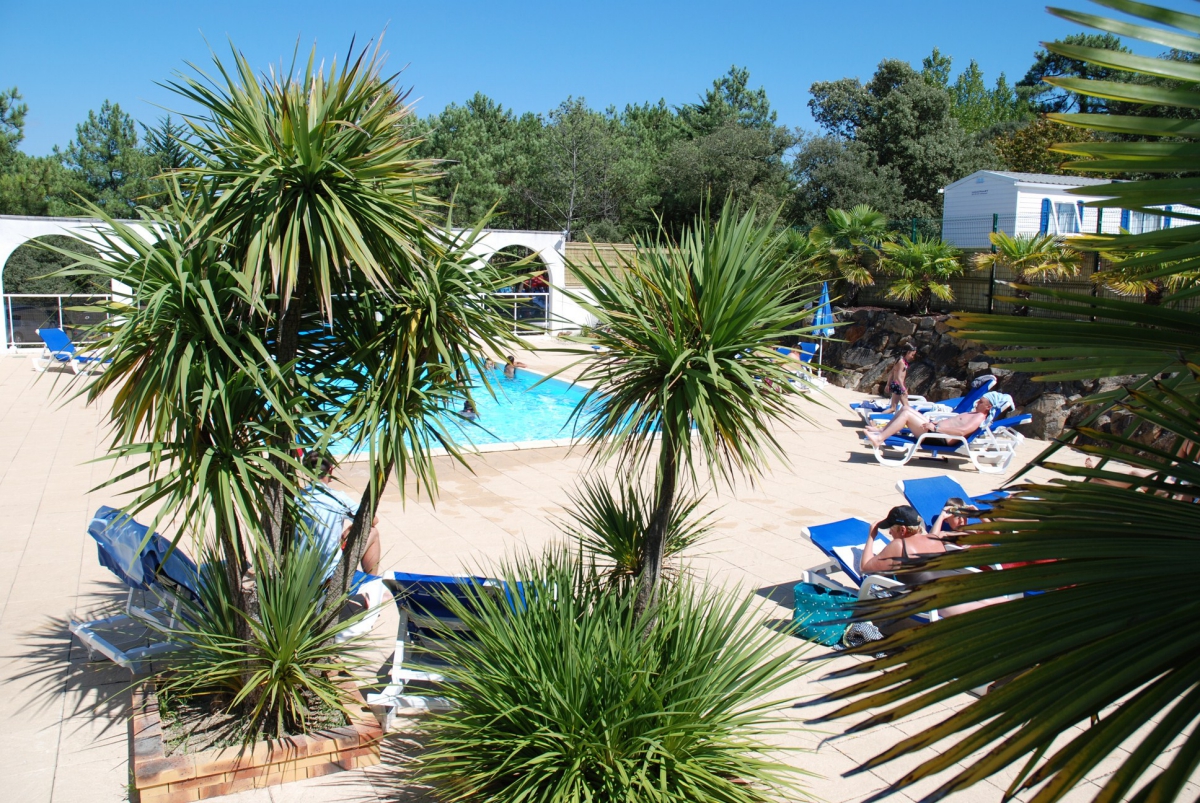 la Frétille Pays de Loire - Longeville sur Mer visuel 11/11