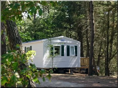 Camping La Gachère Pays de Loire - Olonne-sur-Mer visuel 6/10