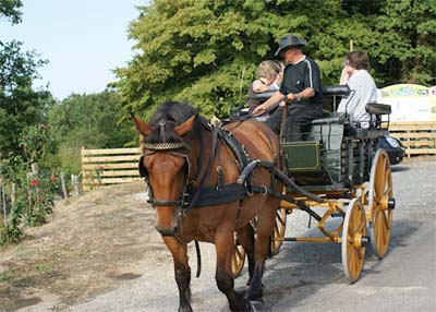 La Garenne Aquitaine - Peyrignac visuel 6/8