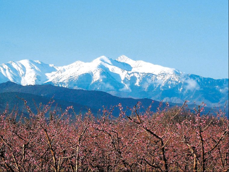 La Garenne Languedoc-Roussillon - Néfiach visuel 7/8