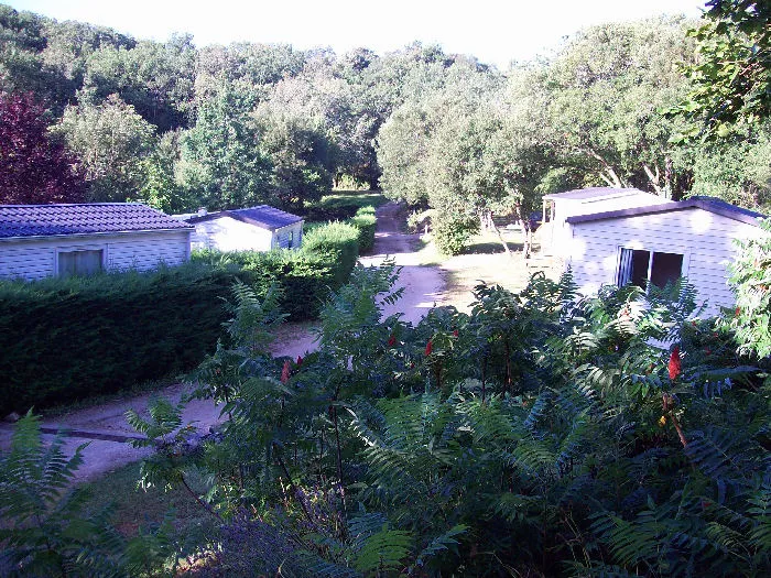 Camping La Garrigue Midi-Pyrénées - Loubressac visuel 4/10