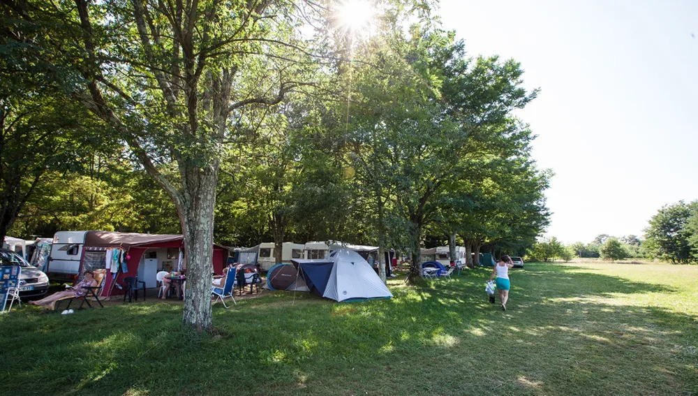Camping La Grand'Terre Rhône-Alpes - Ruoms visuel 9/11