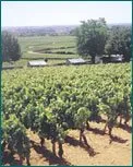 Camping Meursault Bourgogne - Meursault visuel 9/10